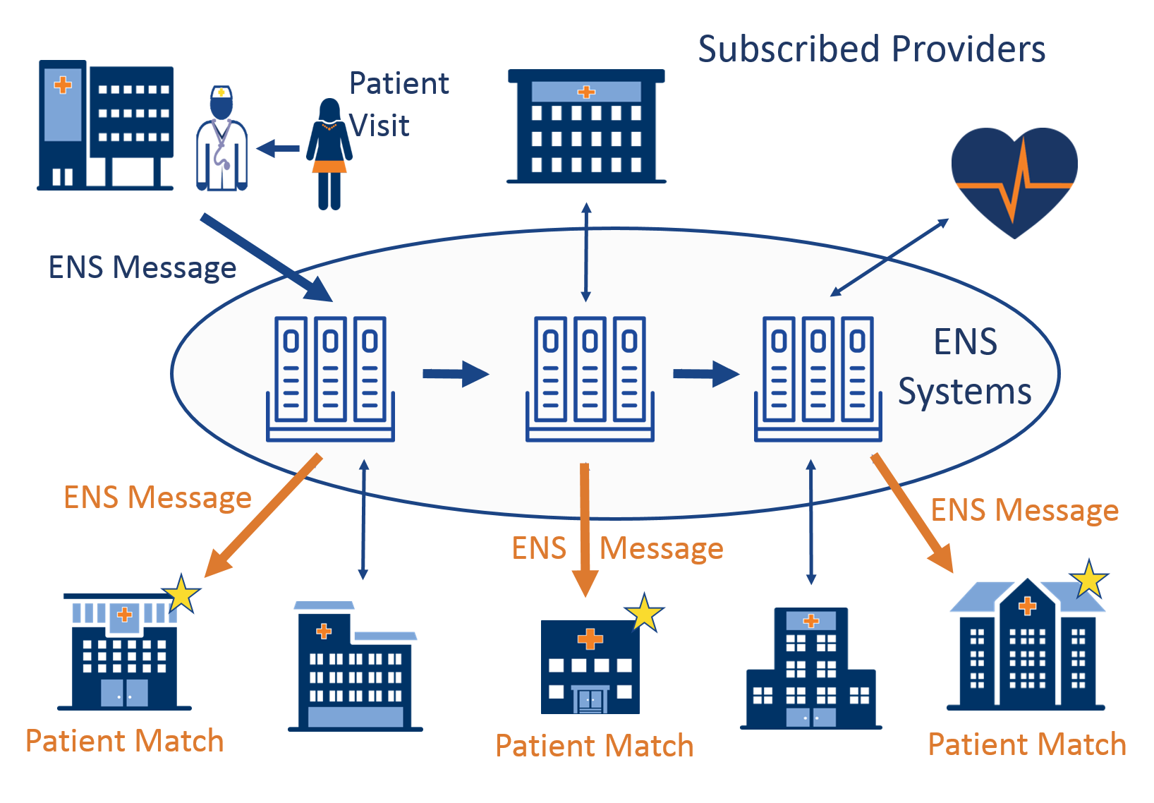 Animation of ENS